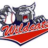 Logo for league