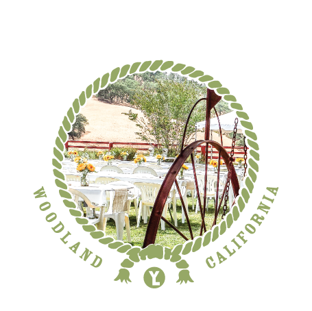 Weddings and Events