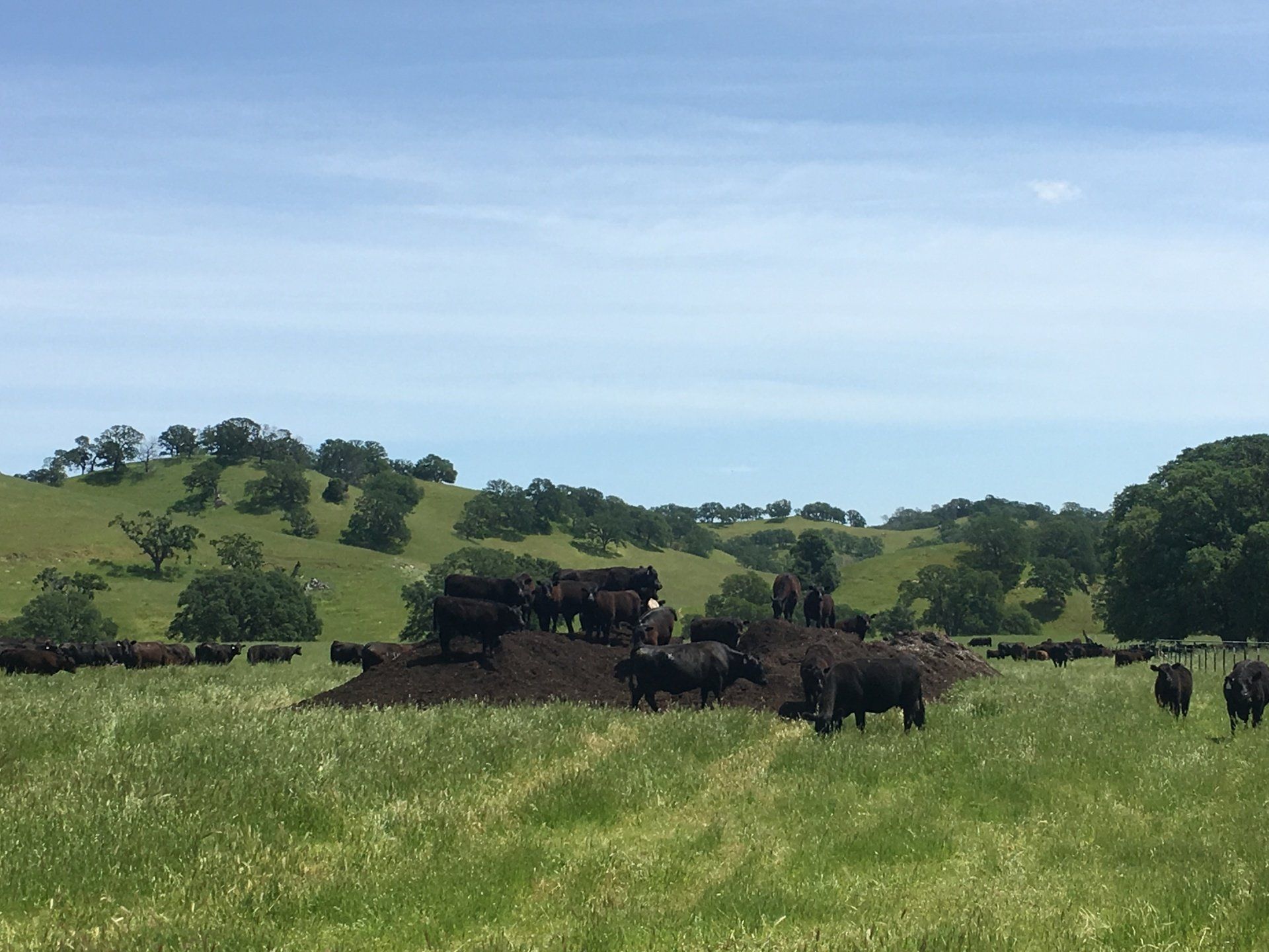 Environmental Stewardship Award Program