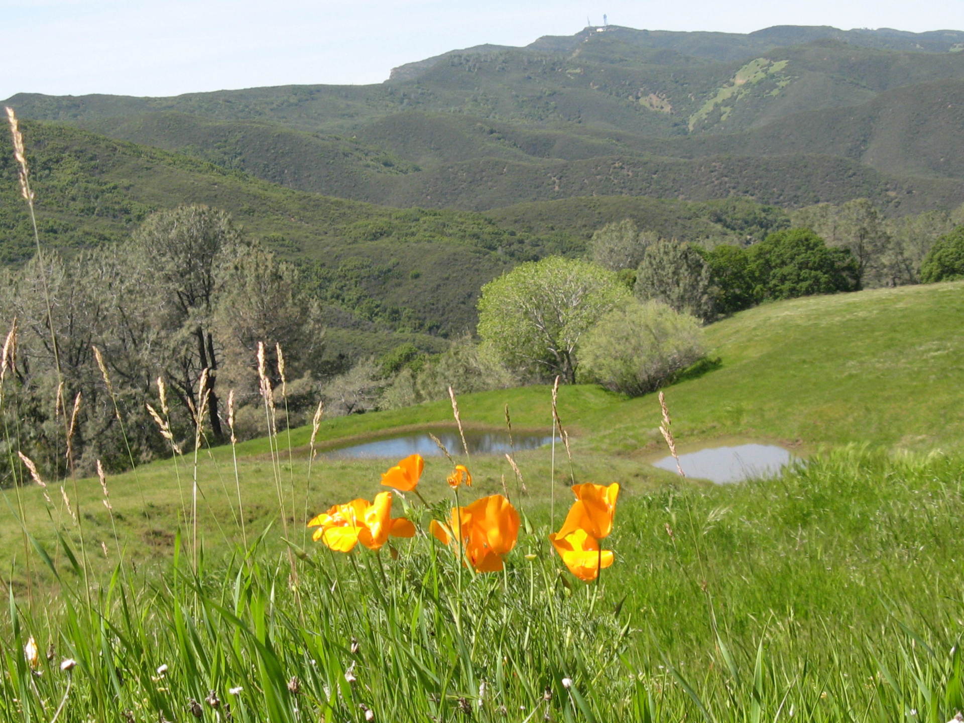 Environmental Stewardship Award Program