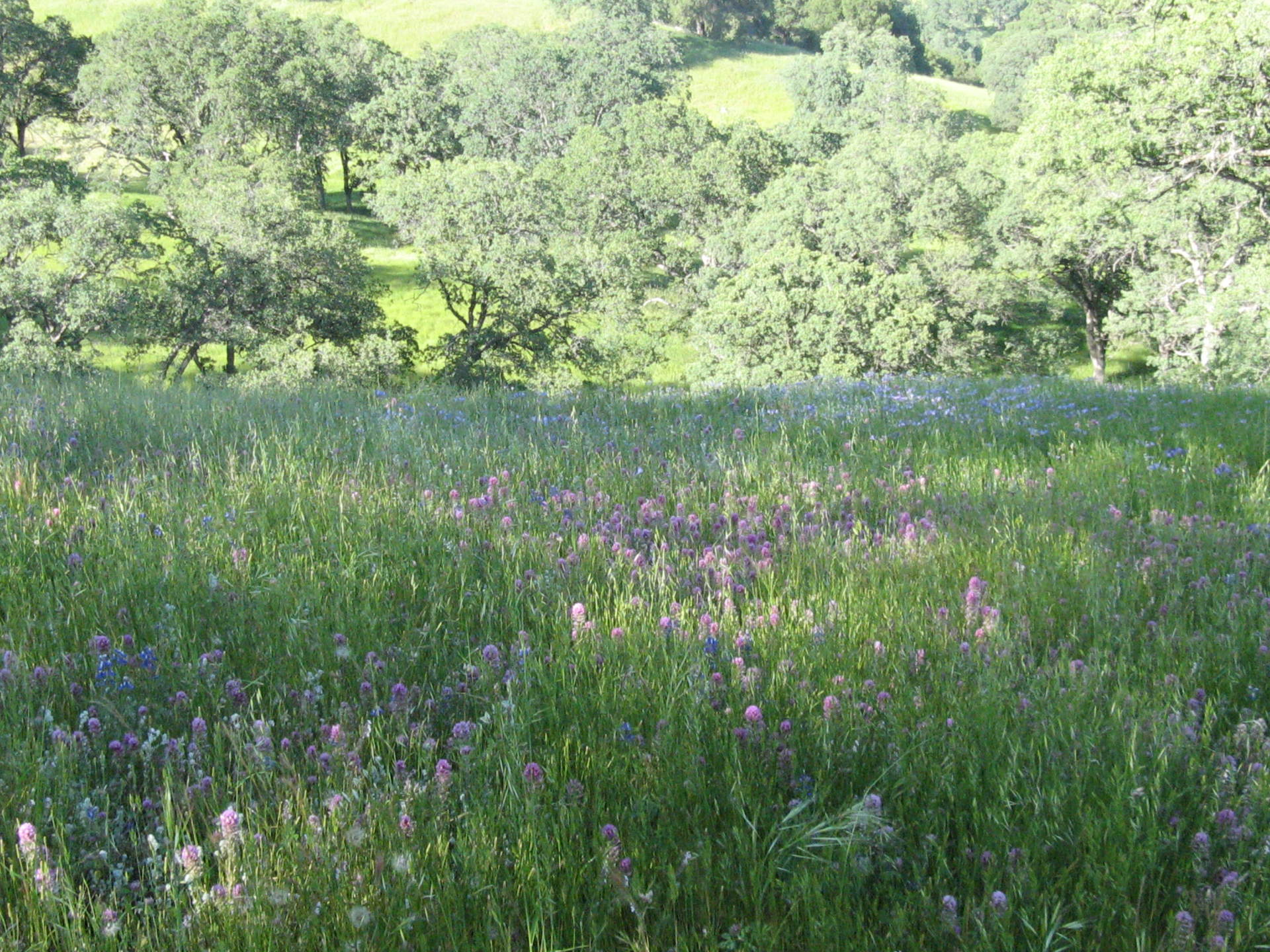 Environmental Stewardship Award Program