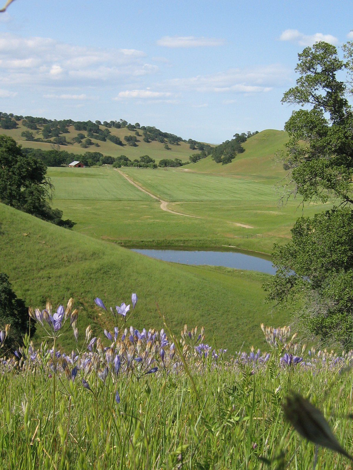 Environmental Stewardship Award Program