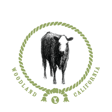 Natural Grass-Fed Angus