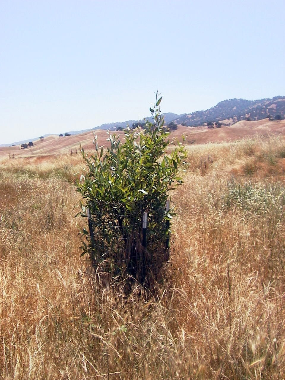 Environmental Stewardship Award Program