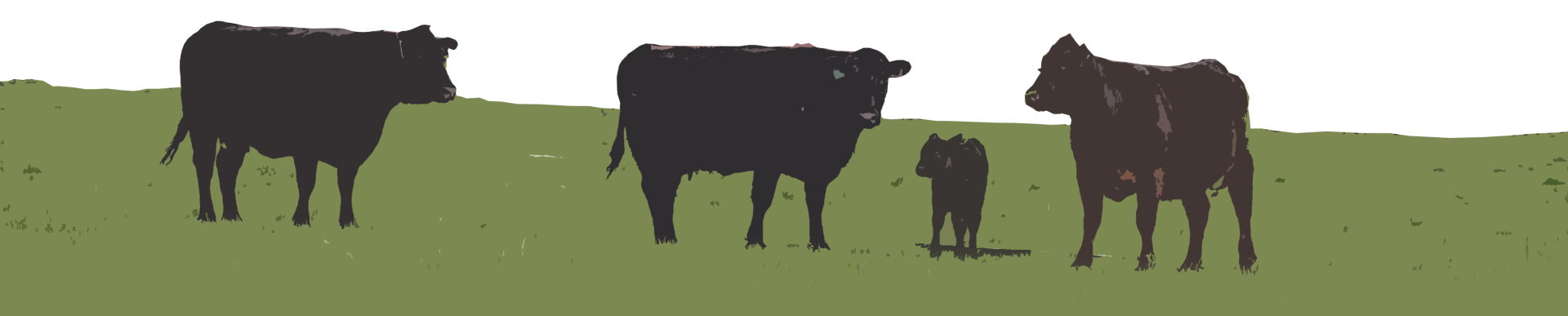 yolo land and cattle