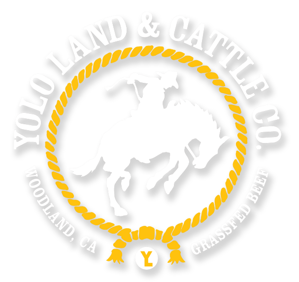Yolo Land and Cattle Co.