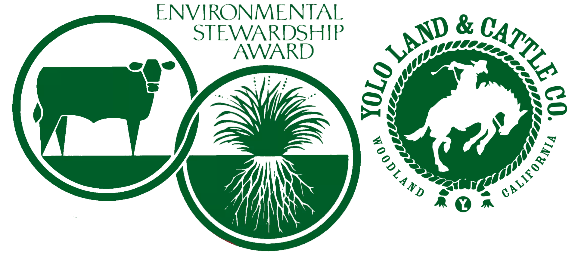 Environmental stewardship award