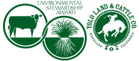 Environmental stewardship award