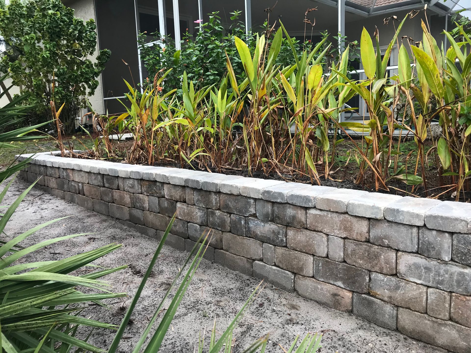 A brick wall with plants growing on it in front of a house.