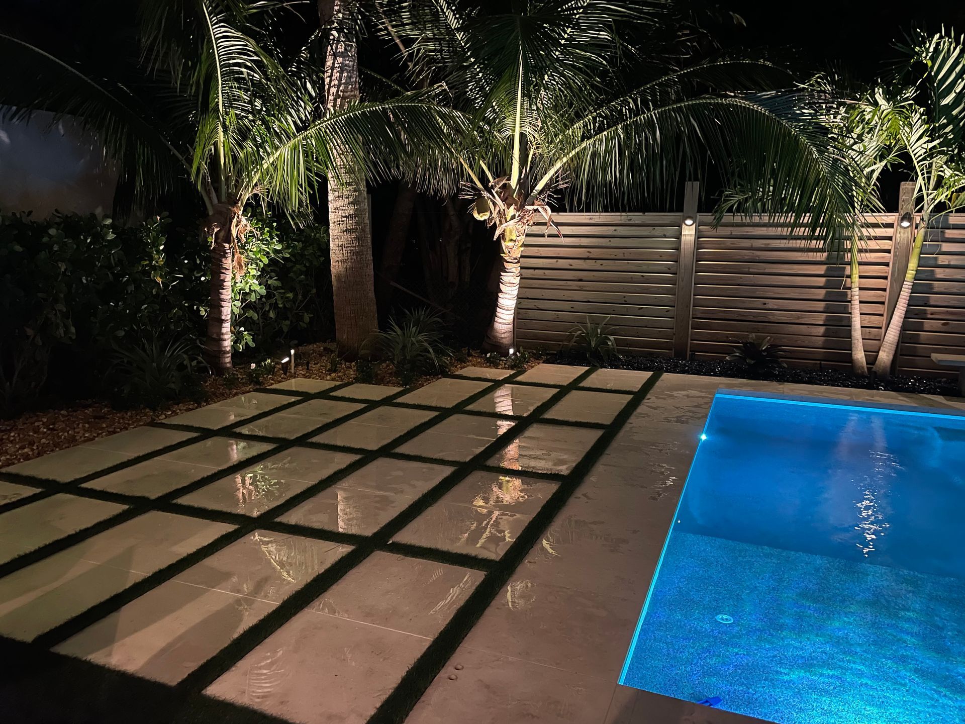 A swimming pool is lit up at night with palm trees in the background