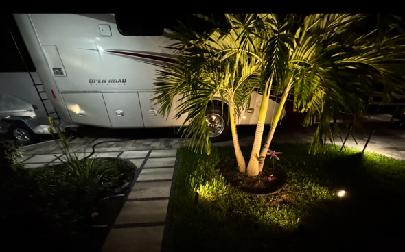 A palm tree is lit up in front of a rv at night.