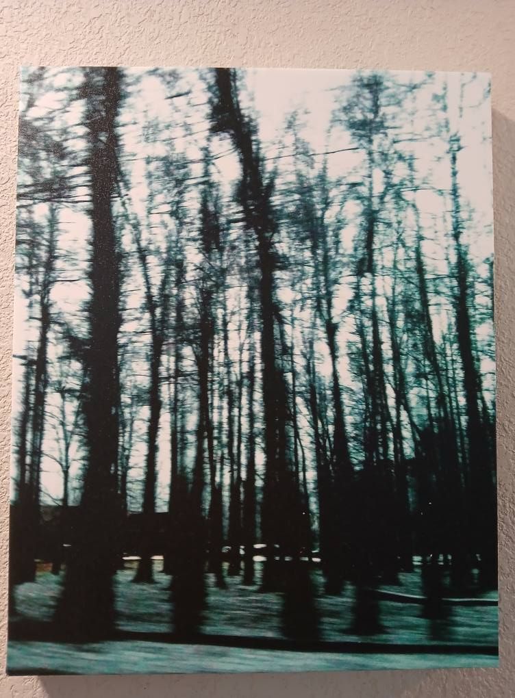 Trees blurred from motion, cool teal and dark tones.