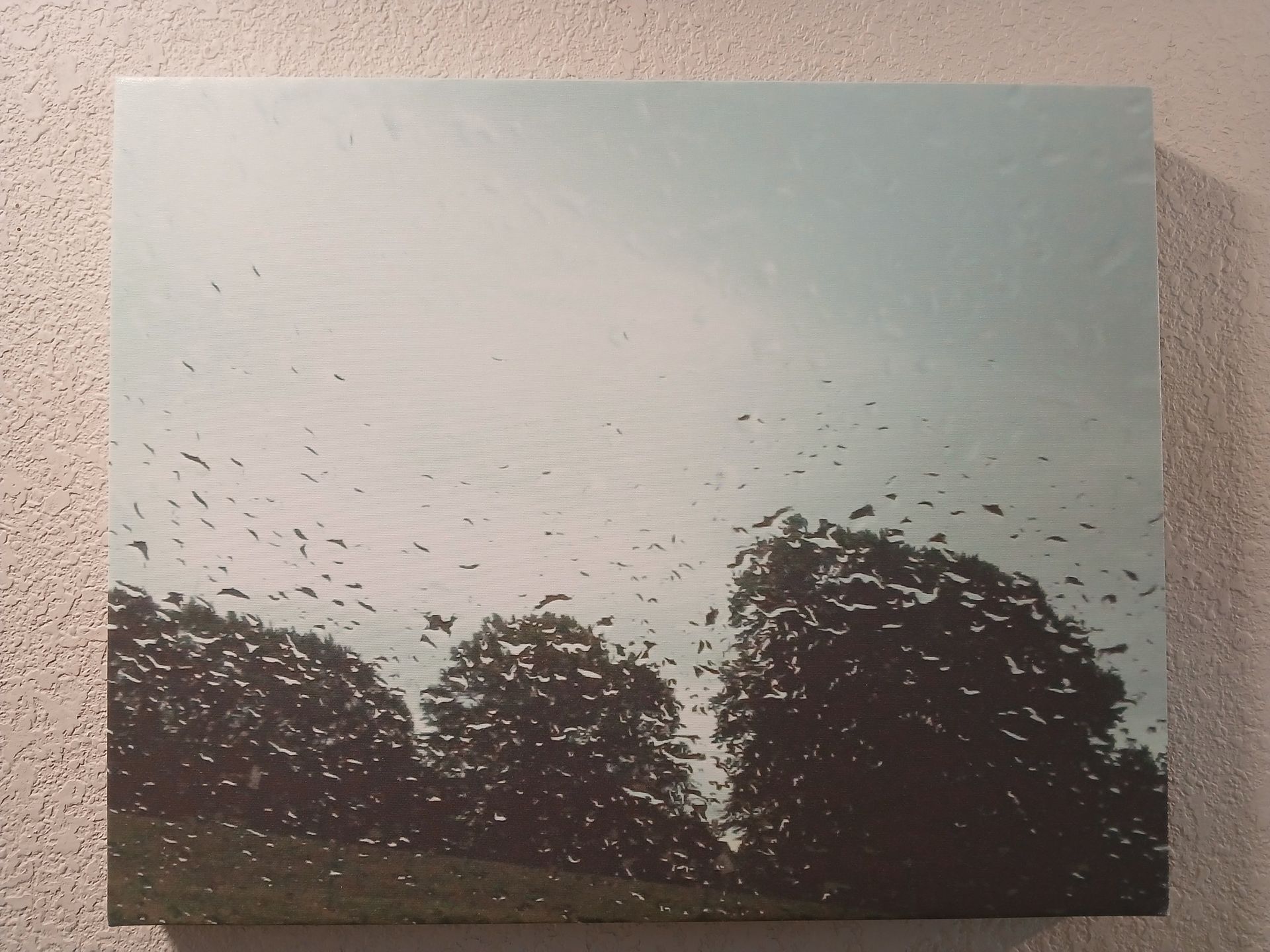Canvas art: Trees silhouetted against a pale blue sky, with specks throughout the image, possibly rain.