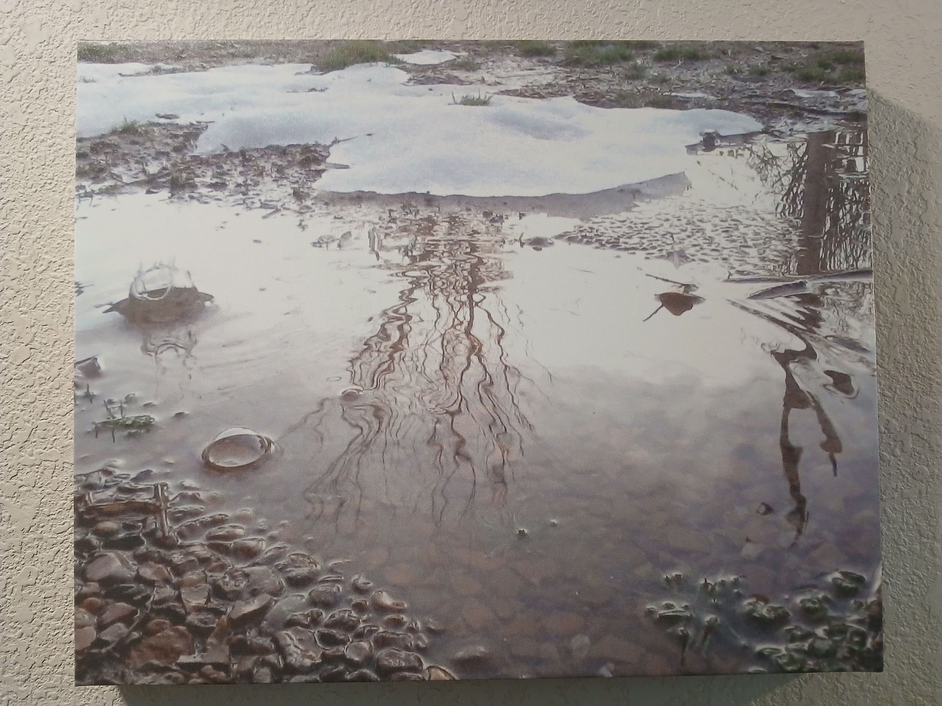 Muddy water reflecting the sky. Scattered debris and plants surround the puddle on a cloudy day.