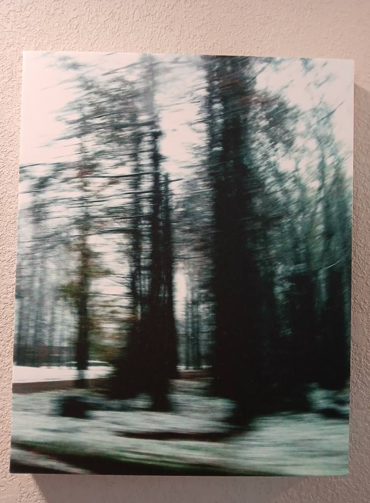 Blurred forest landscape with tall trees and snow on the ground; motion blur effect.