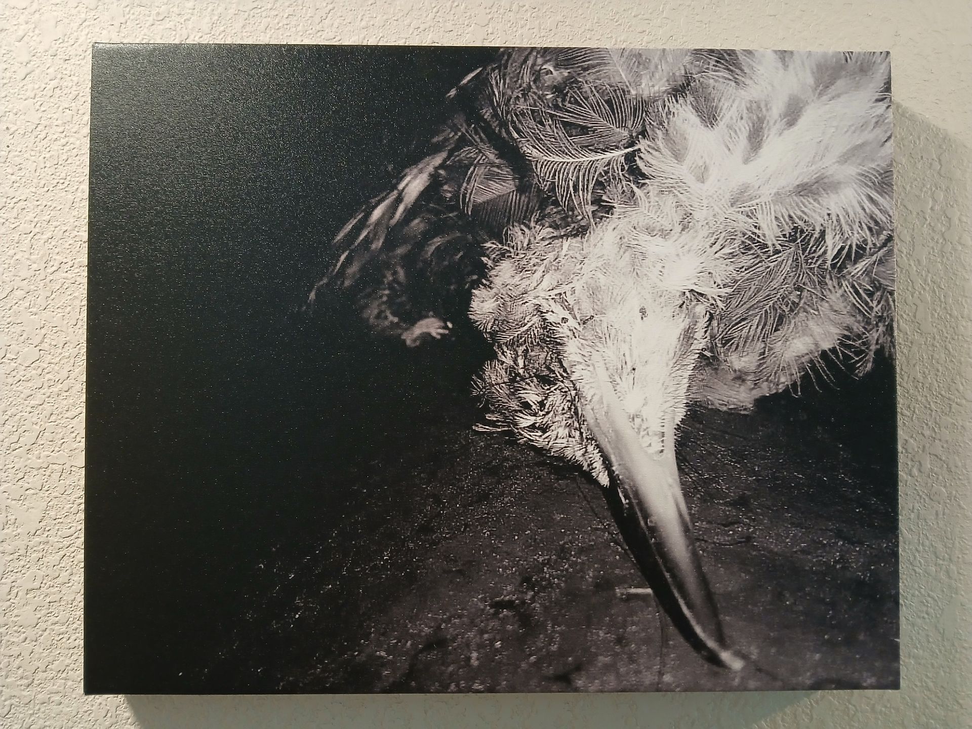 Black and white artwork of a bird with white feathery texture on a dark canvas.