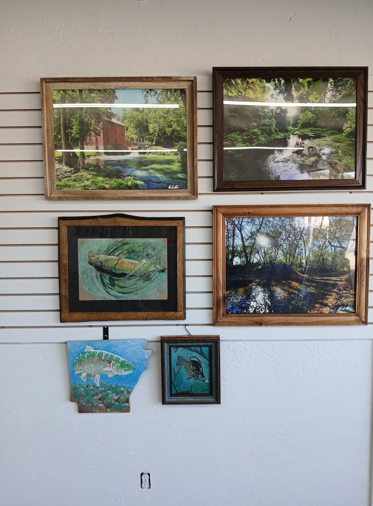Artwork of landscapes and fish in frames on a wall.