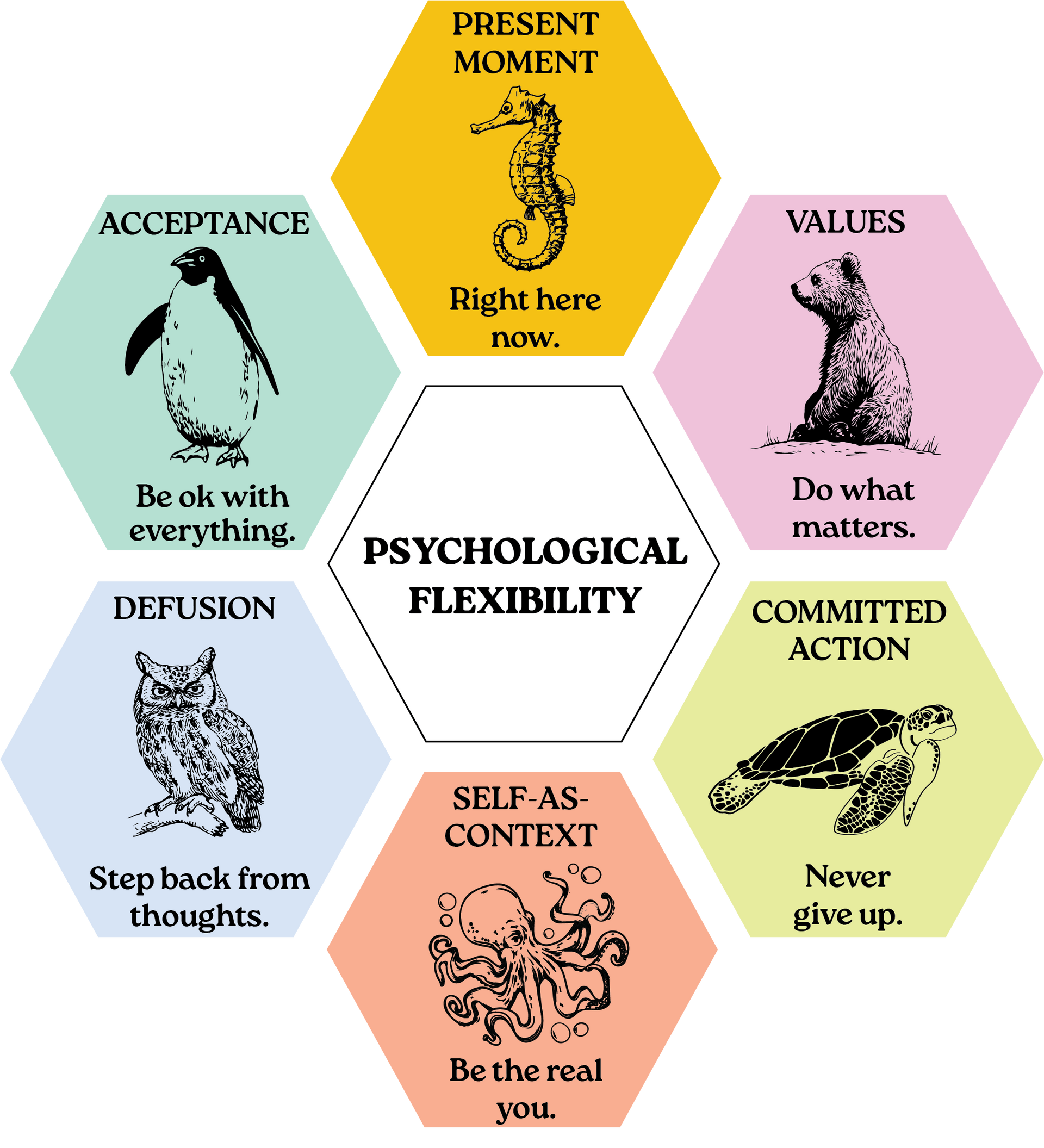 Psychological Flexibility Hexaflex from the AIM Explorers Curriculum