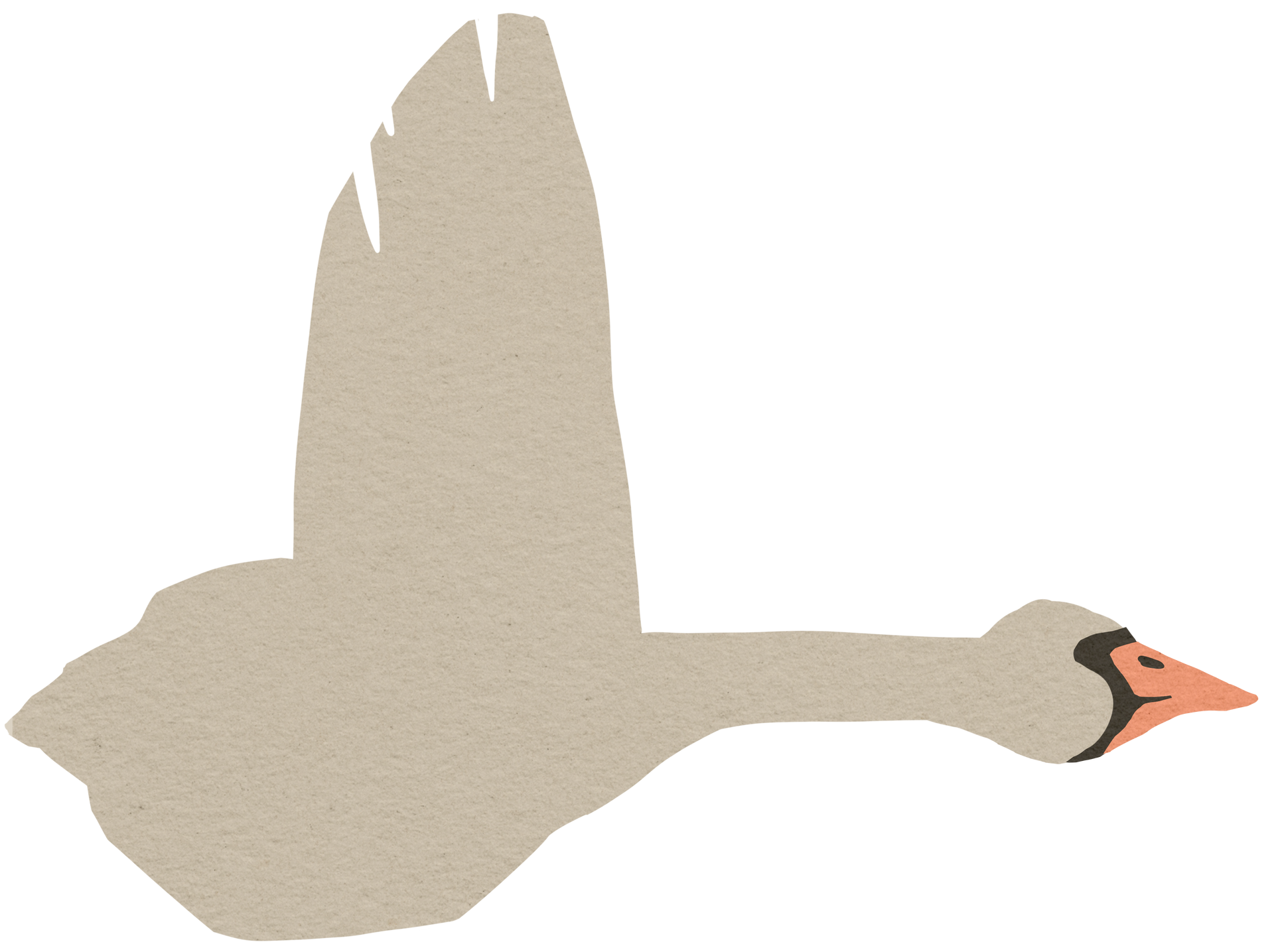 Cut collage graphic of goose (decorative)