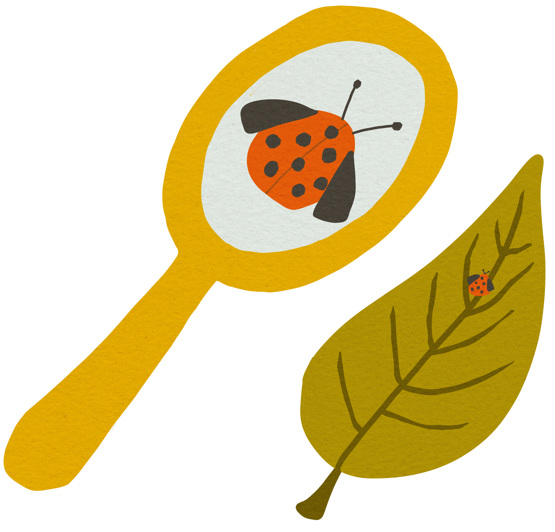 Cut collage graphic of ladybug under magnifying glass (decorative)