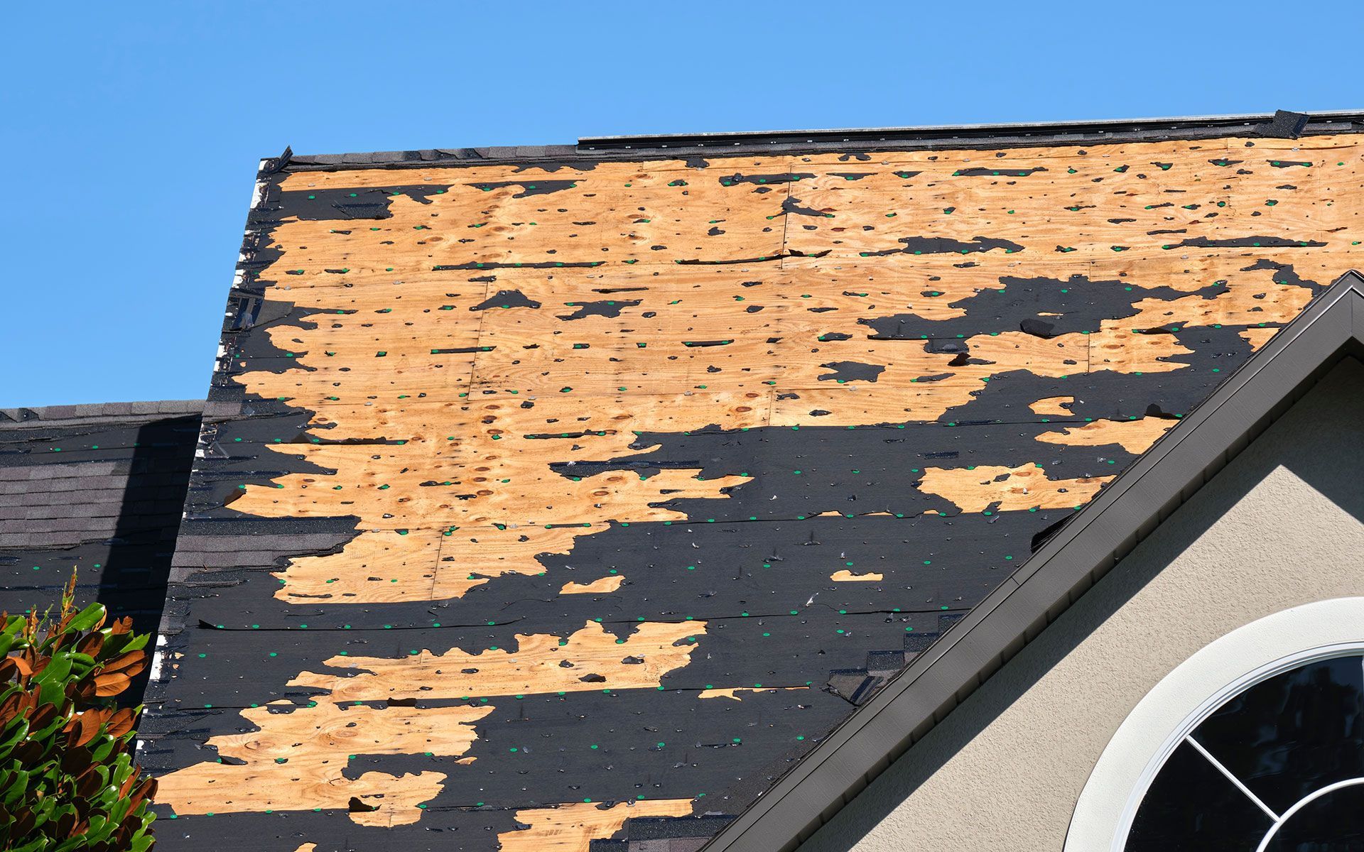 Damaged roof with missing asphalt shingles revealing wood sheathing.