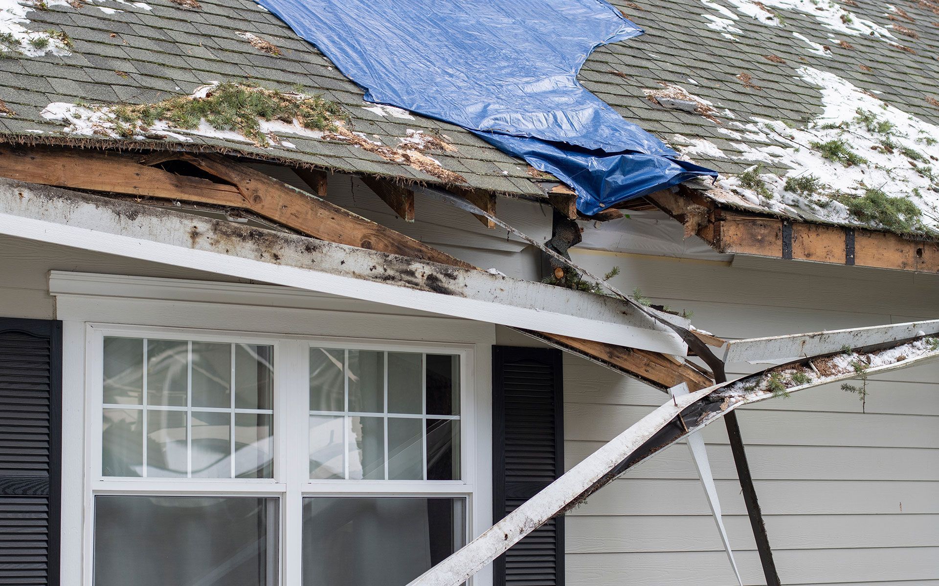 Damaged house roof with blue tarp covering, white window below.
