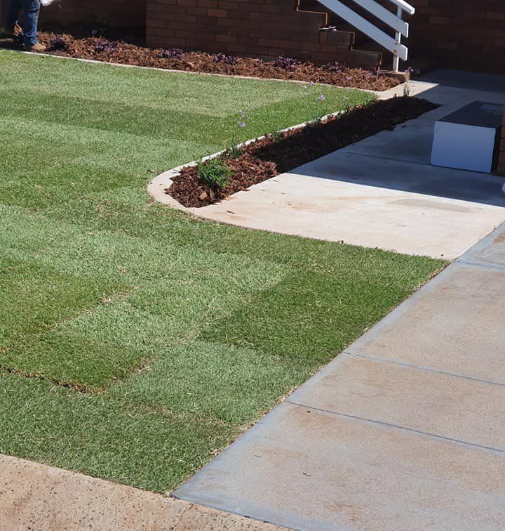 Lawn Installation — Toowoomba, QLD — Col Finlay Earthmoving and Landscaping
