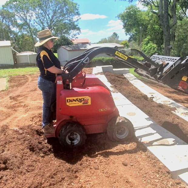 Dulci the Dingo — Toowoomba, QLD — Col Finlay Earthmoving and Landscaping