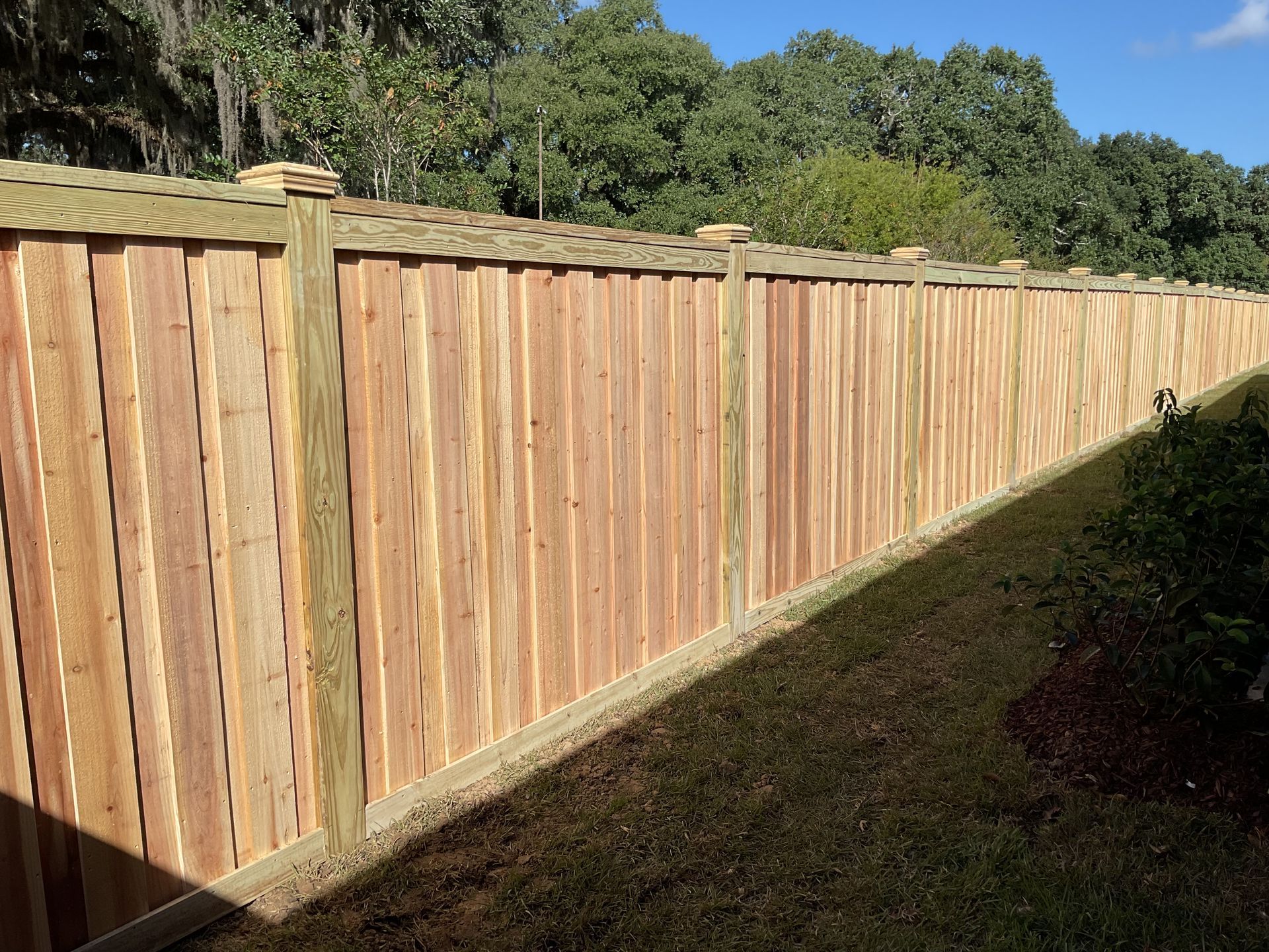 Wooden fence in a grassy yard, surrounded by trees.