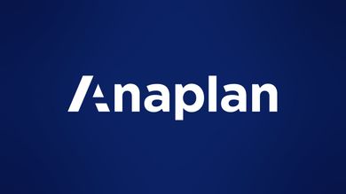 Anaplan Consultant
The Anaplan way
Anaplan project manager