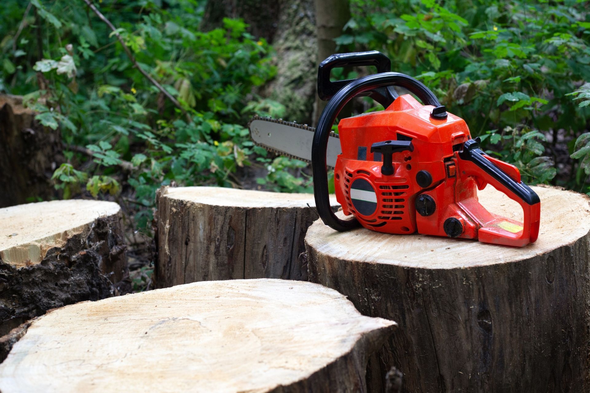 An orange chainsaw sits on top of a cut tree stump in a forest setting.
