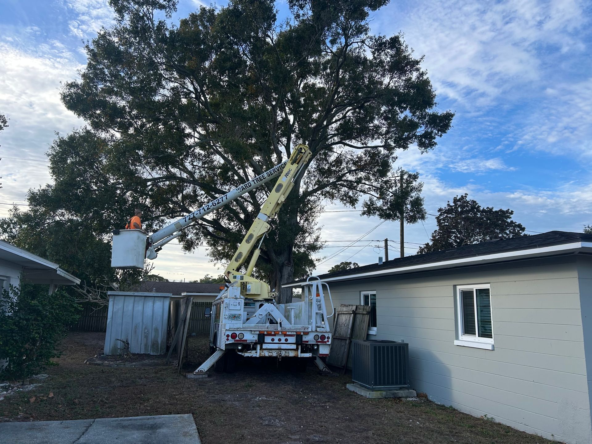 A person wearing white gardening gloves uses a turquoise electric hedge trimmer to prune a lush green bush.