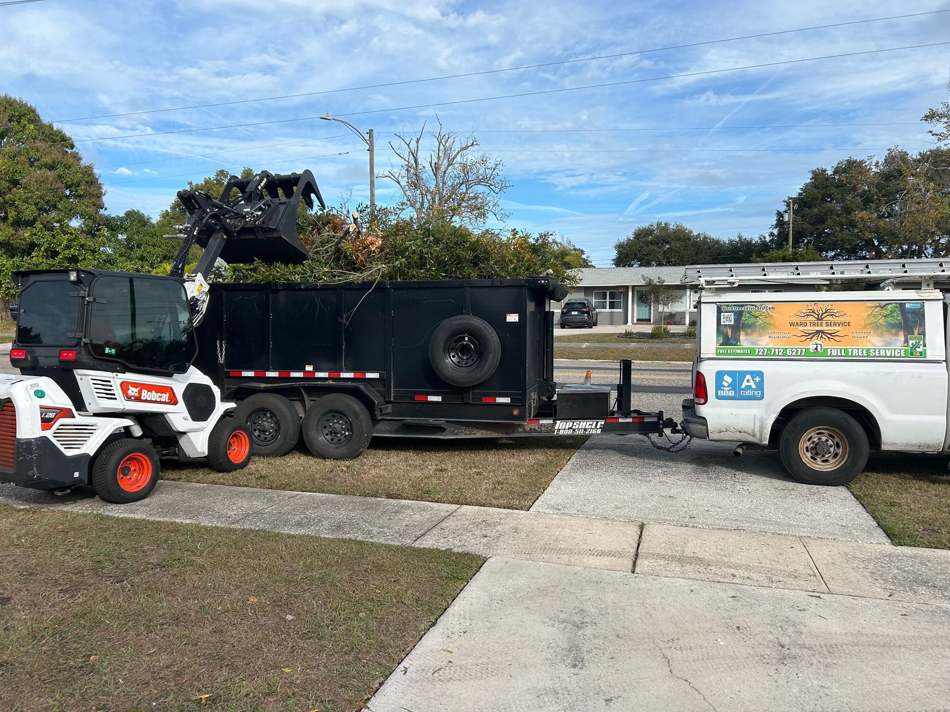 A close-up of a gloved hand using bright green pruning shears to trim a small branch on a leafy tree.