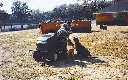 Raymond Proffitt riding a mower