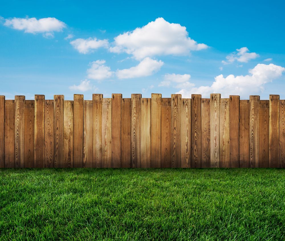 Wooden Fence Against a Bright Blue Sky With Puffy White Clouds, Over Green Grass — The Fence Place in Kawana, QLD