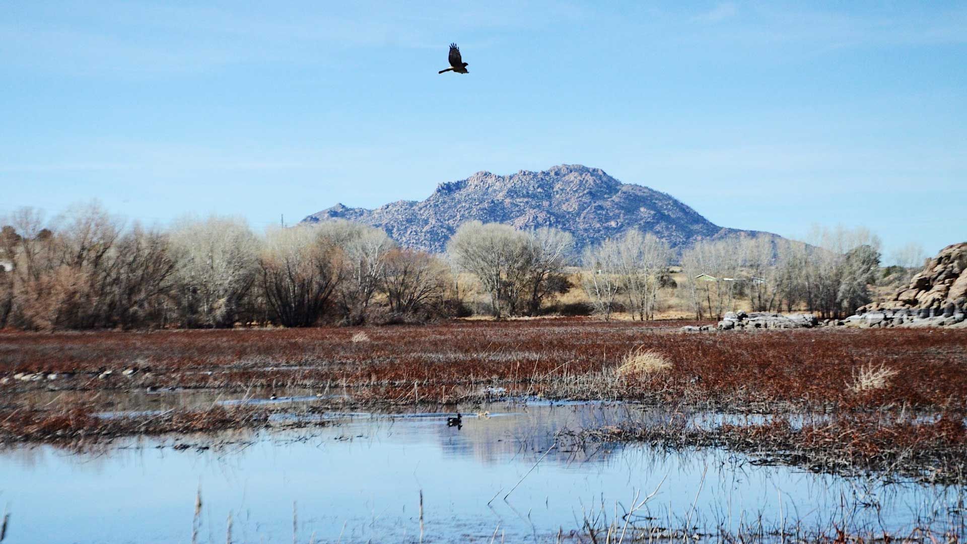 Beautiful Place — Prescott, AZ — Murphy Schmitt Hathaway & Wilson PLLC