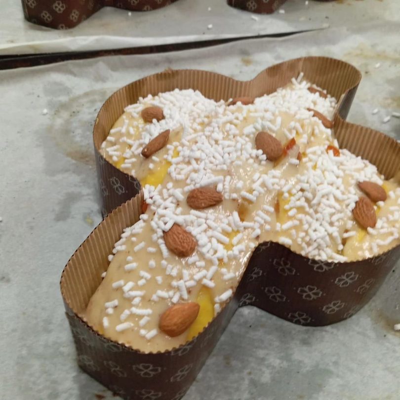  Max del Gusto
