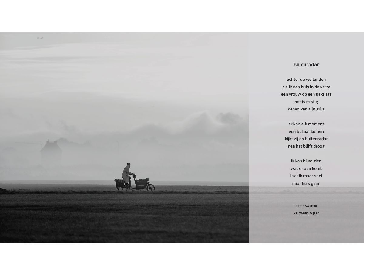 Kijken met de ogen van Hung Hoang