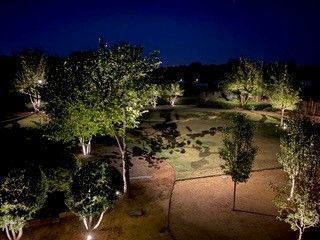 A nighttime aerial view of a landscaped yard featuring illuminated trees casting long shadows across a manicured lawn.