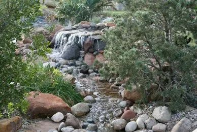 A small waterfall cascades over dark rocks into a stone-lined stream surrounded by lush green foliage and shrubs.