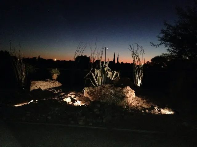 Landscape lighting illuminates desert plants and rocks against a twilight sky.