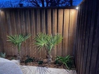Two small palm plants grow in a mulch garden bed in front of a wooden fence illuminated by outdoor wall lights at dusk.