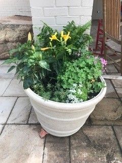 A white planter containing yellow daylilies, green foliage, and small white flowers on a stone patio.