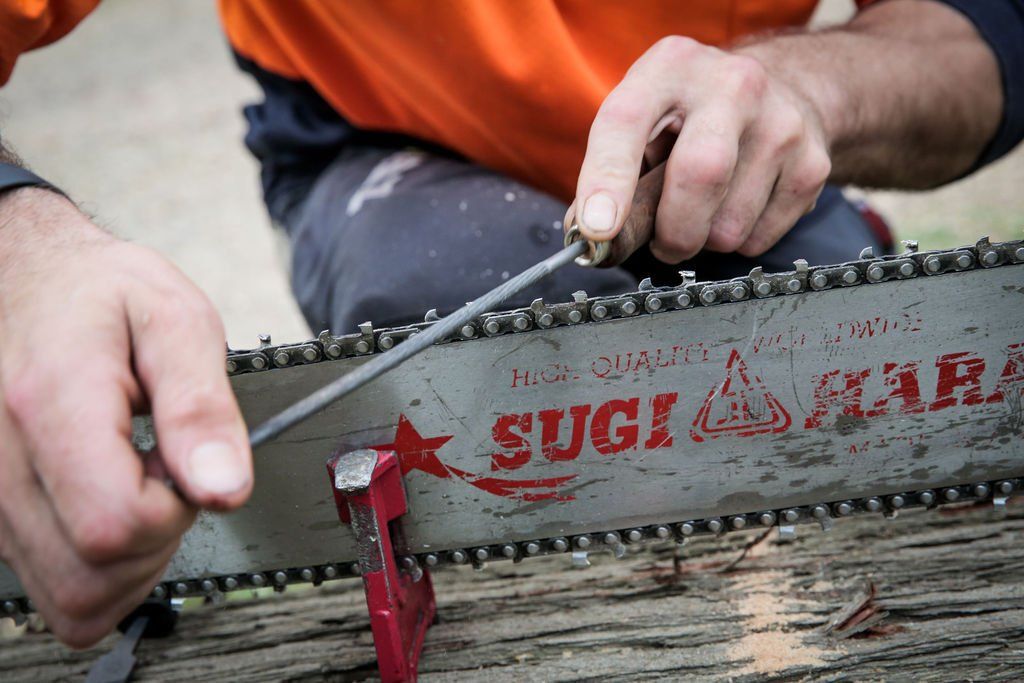 A man is sharpening a chainsaw with a sharpener.