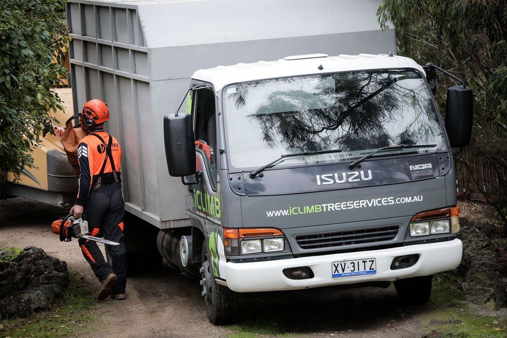 A man is standing next to a truck that says isuzu on it.