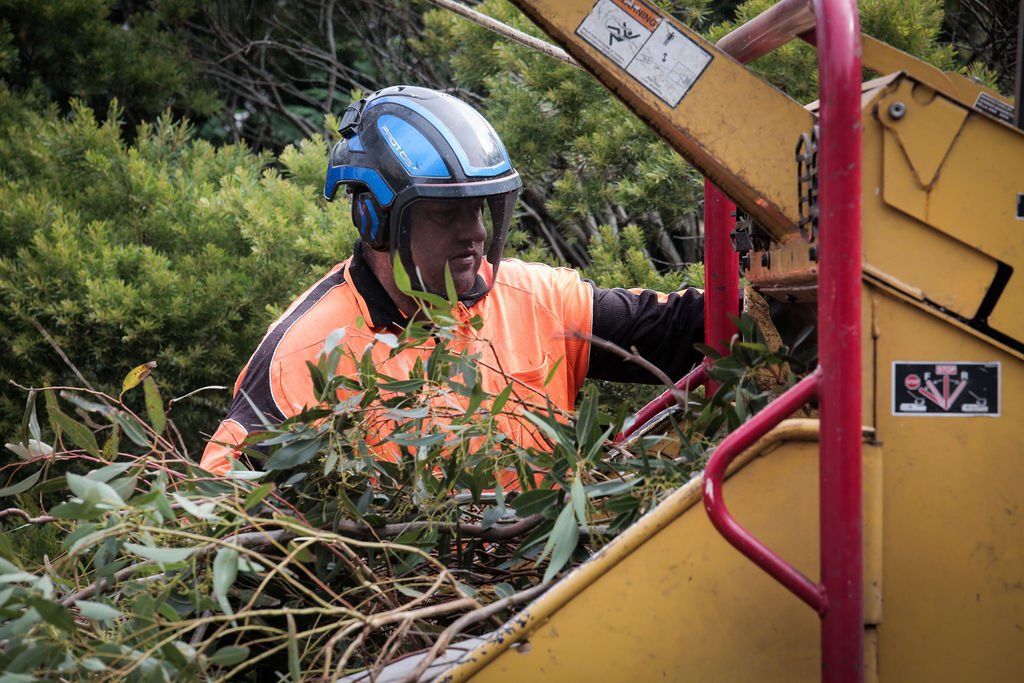 A man wearing a helmet is working on a machine in the woods.