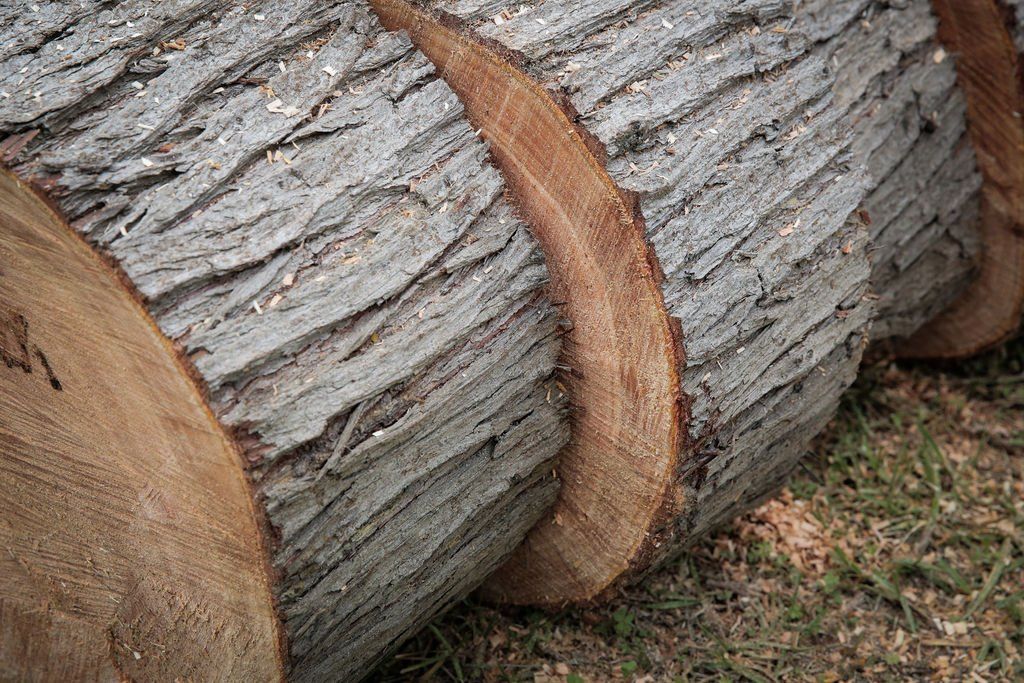 A bunch of logs laying on top of each other on the ground.