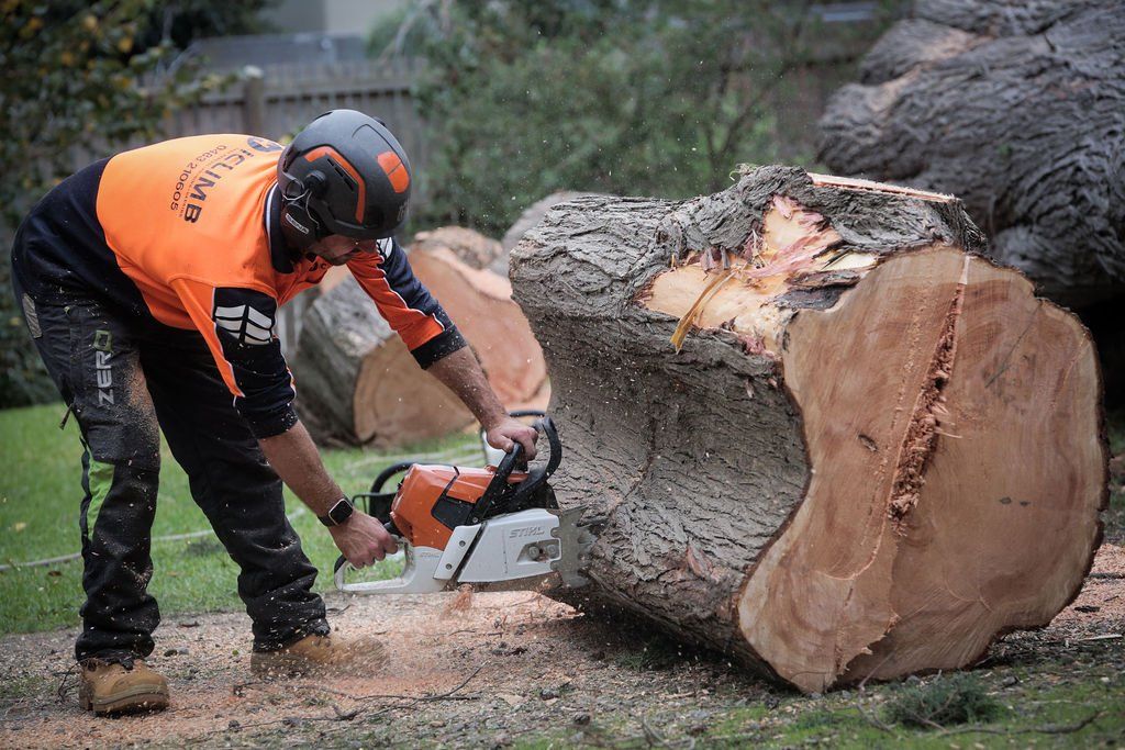A man is cutting a large log with a chainsaw.