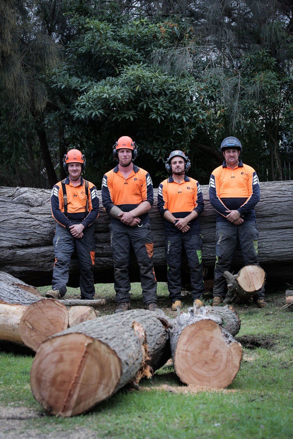 A group of men are standing next to a pile of logs.