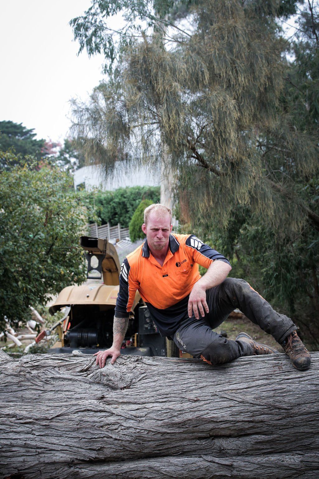 A man is kneeling on top of a large log.
